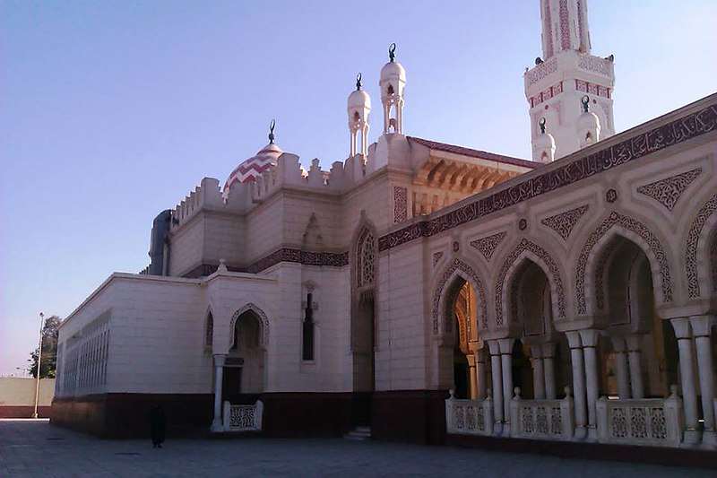 الاحتفال بالمولد الرضوي